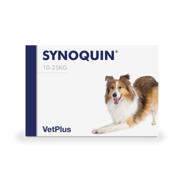 Synoquin EFA Small kaps 30 kpl
